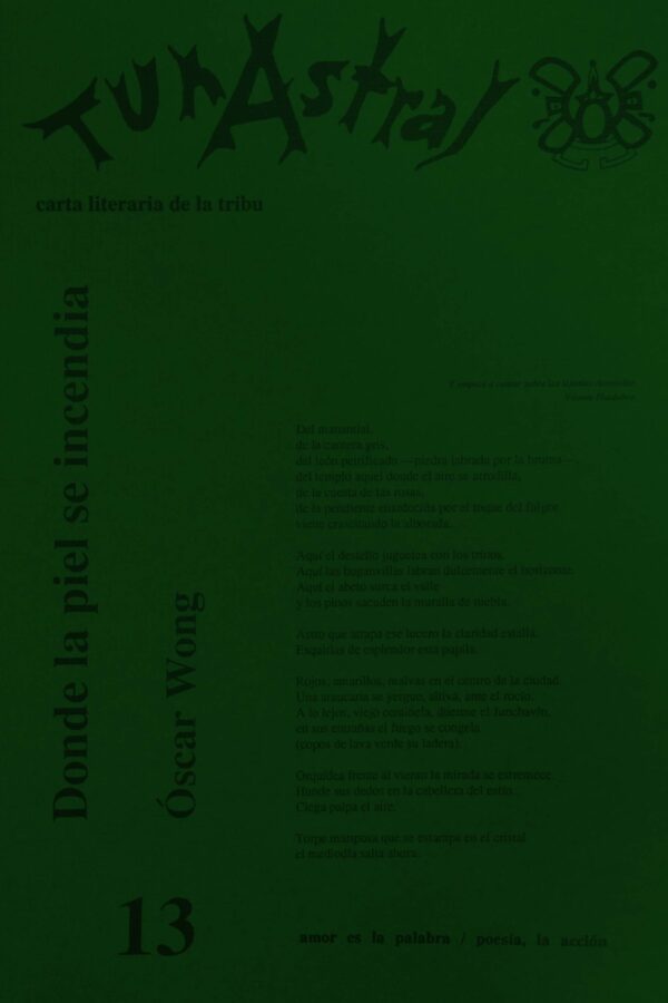 Carta Literaria 13